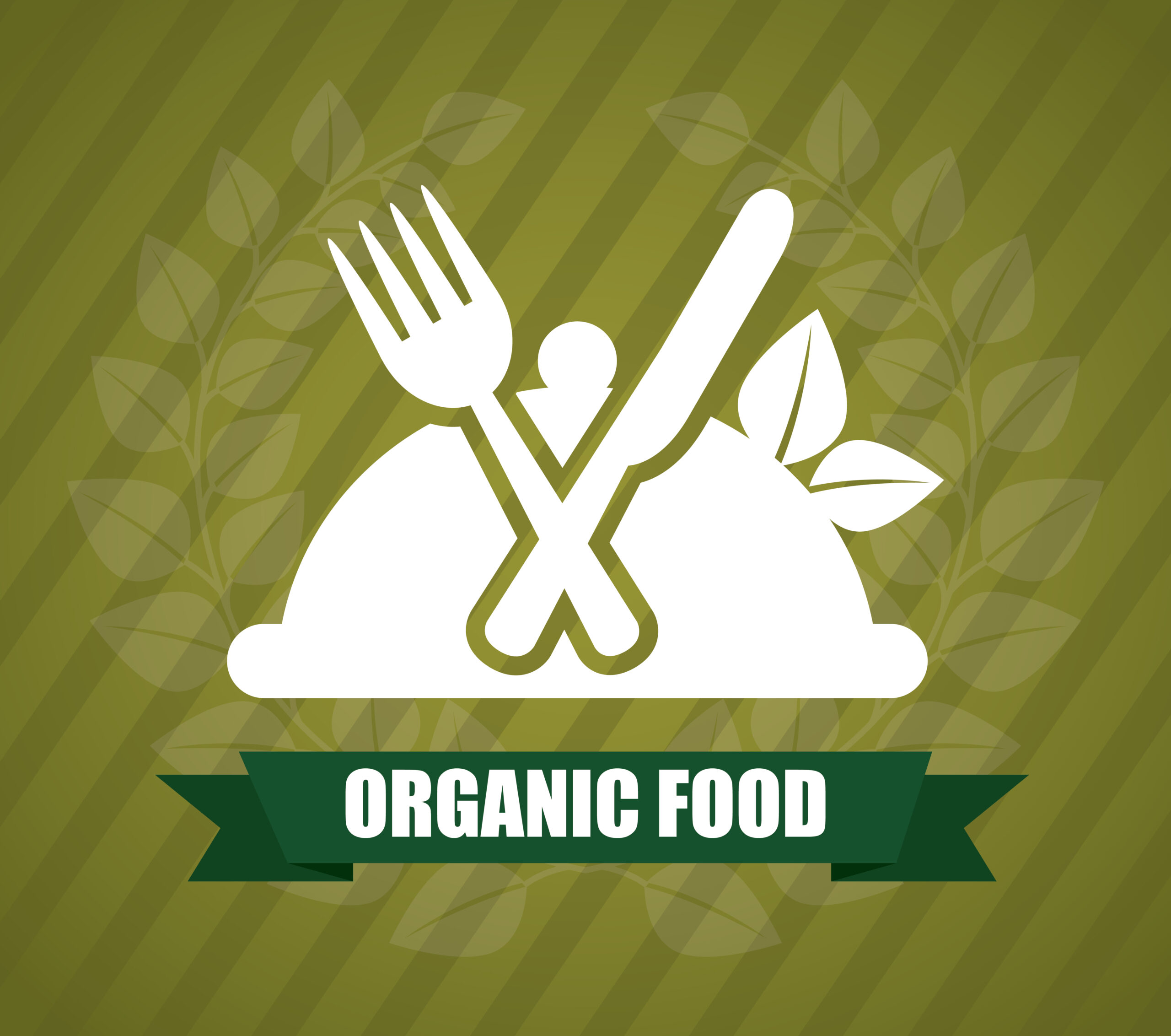 organic food graphic design , vector illustration