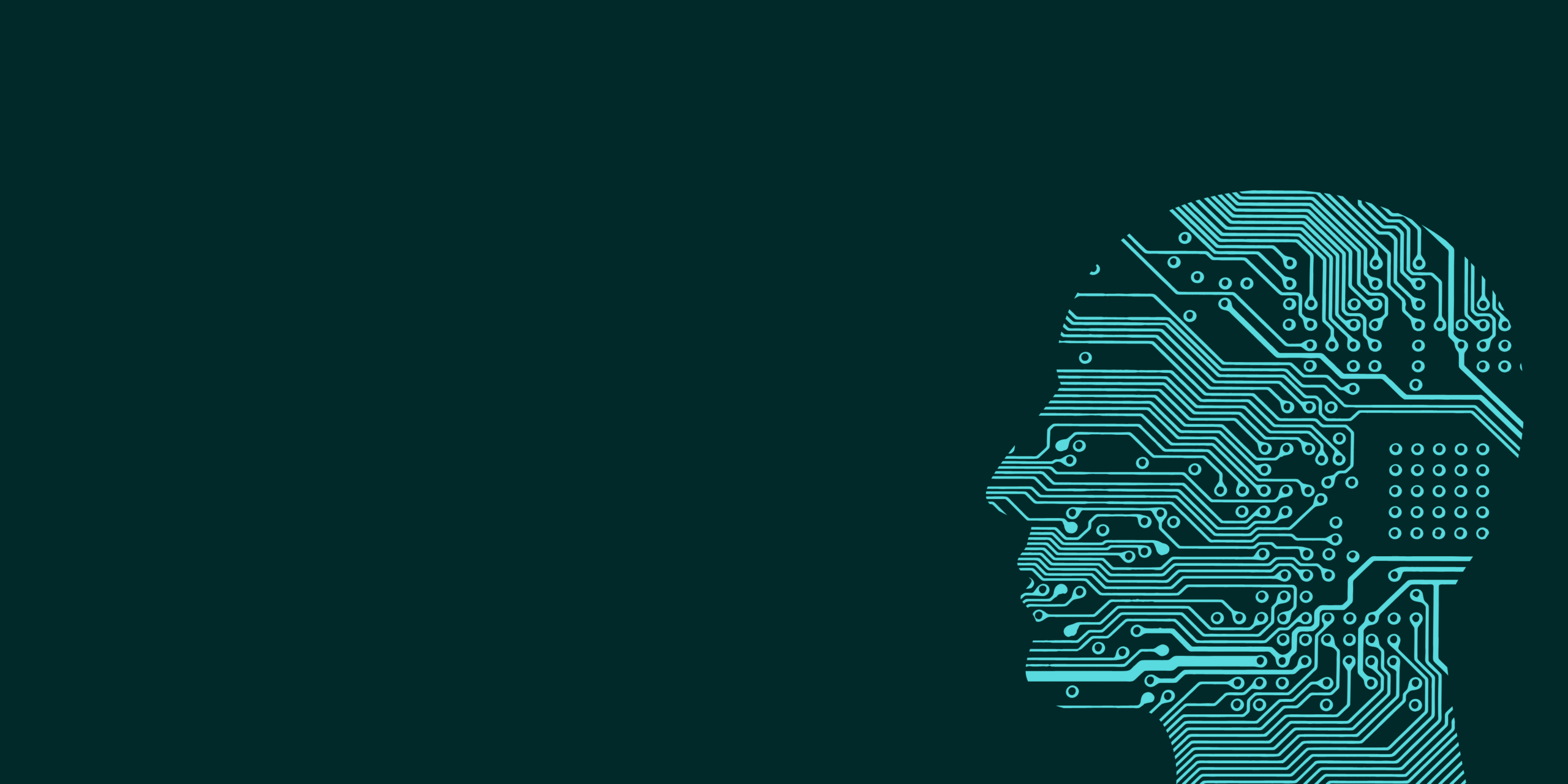 SEOIndeed: Your Partner in Digital Transformation